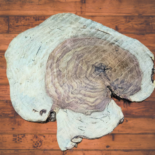 Woodlog For 20 Inch Resin Table