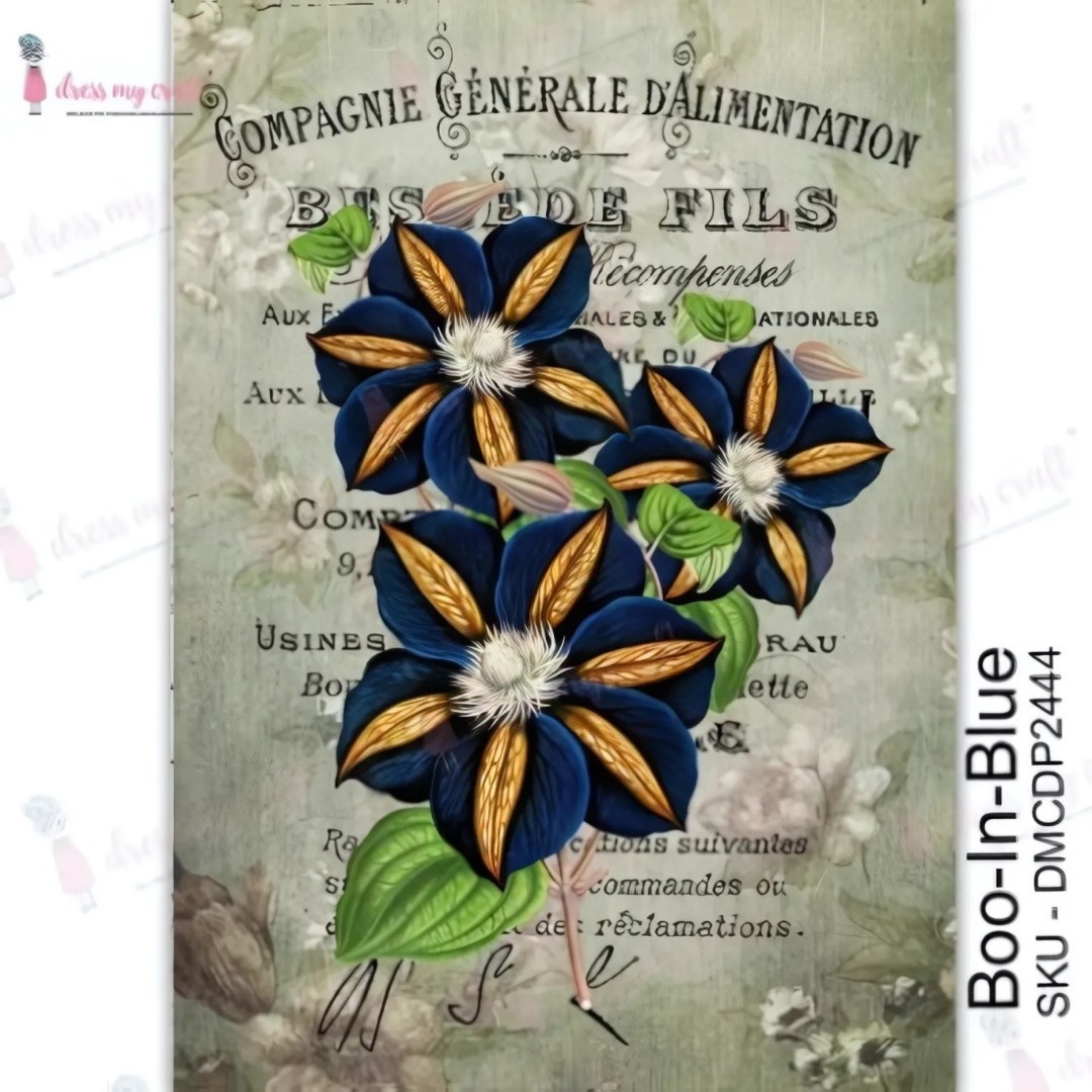 Boo-In-Blue-TransferM Boo-In-Blue - Transfer Me - Image 1