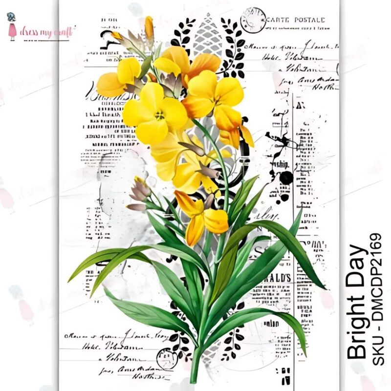 Bright Day - Transfer Me