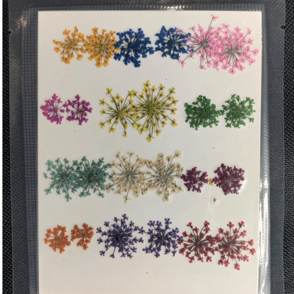 62282c5794e4b_142_134 Pressed Mixed Lace Flower - Image 1