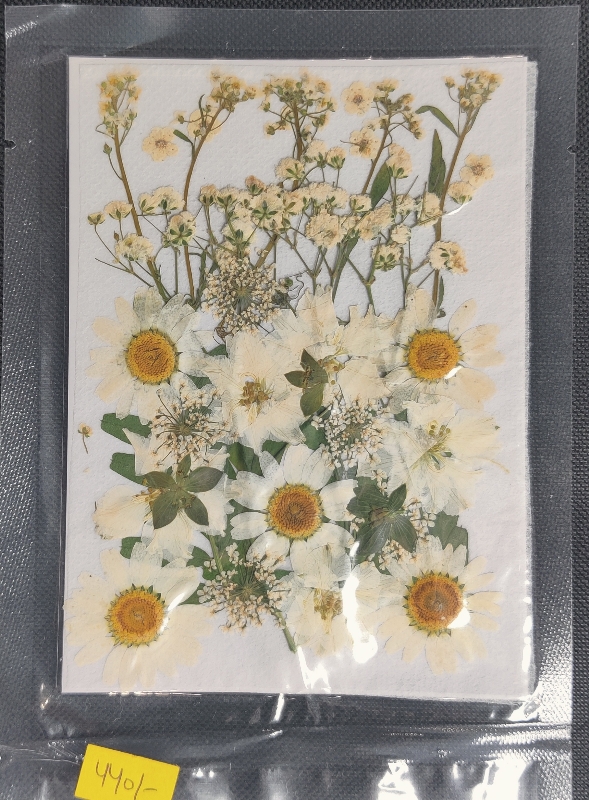 62282c5794e4b_150_214 White Mixed Flower - Image 1