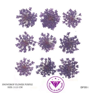 Pressed Lace Flower #6