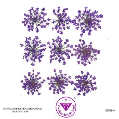 Pressed Lace Flower #11