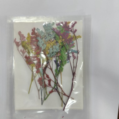 Pressed Flower - multicolor