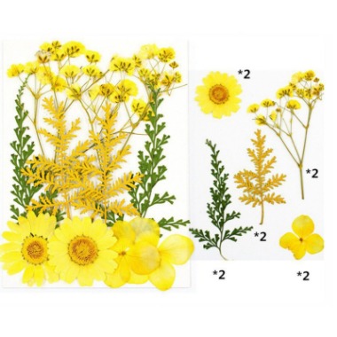 Pressed Mixed Flower 16