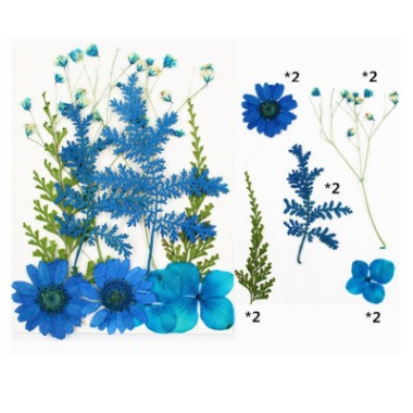 Pressed Mixed Flower 17