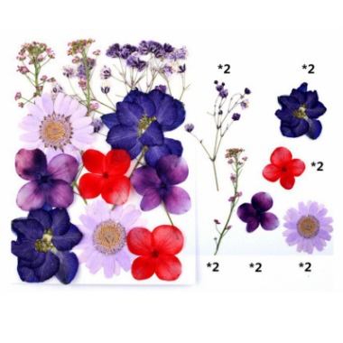 Pressed Mixed Flower 20