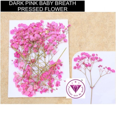Pressed Dark Pink Baby Breath