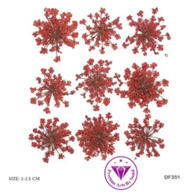 Pressed Lace Flower #1