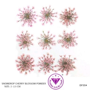 Pressed Lace Flower #4