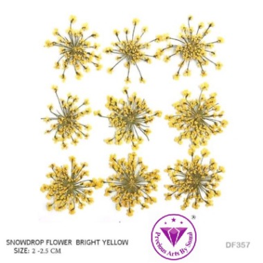 Pressed Lace Flower #7