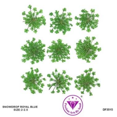 Pressed Lace Flower #15