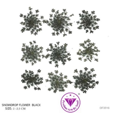 Pressed Lace Flower #16