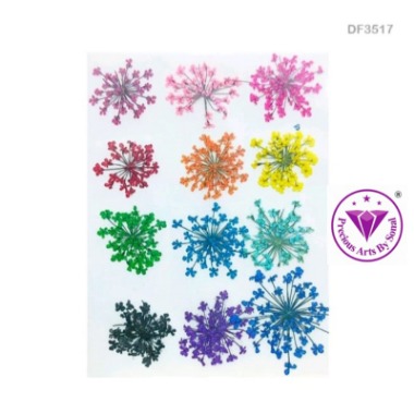 Pressed Lace Flower #17