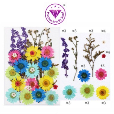 Pressed Mixed Flower 52