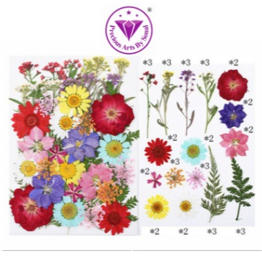 Pressed Mixed Flower 53