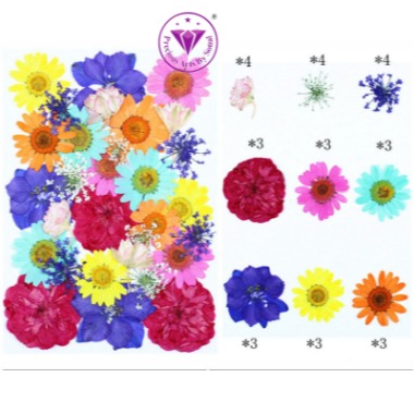 Pressed Mixed Flower 54