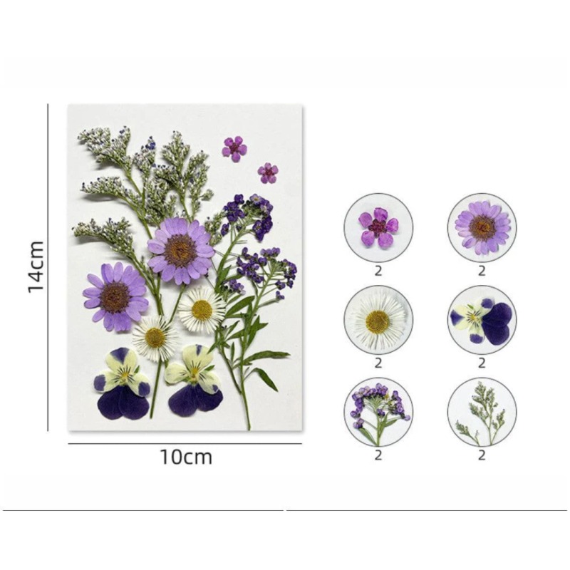 62282c5794e4b_6525_8231 Pressed Mixed Flower 57 - Image 1