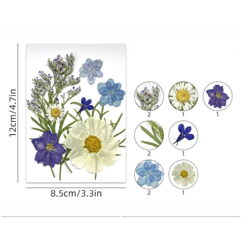 62282c5794e4b_6535_8233 Pressed Mixed Flower 59 - Image 1