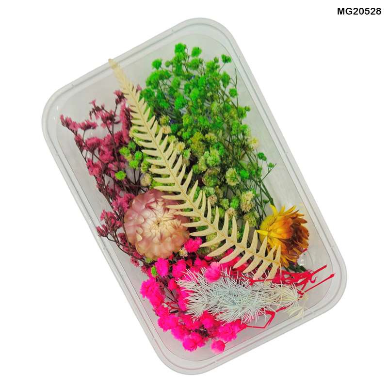 62282c5794e4b_6773_8538 Dry Flower Box- #20528 - Image 1