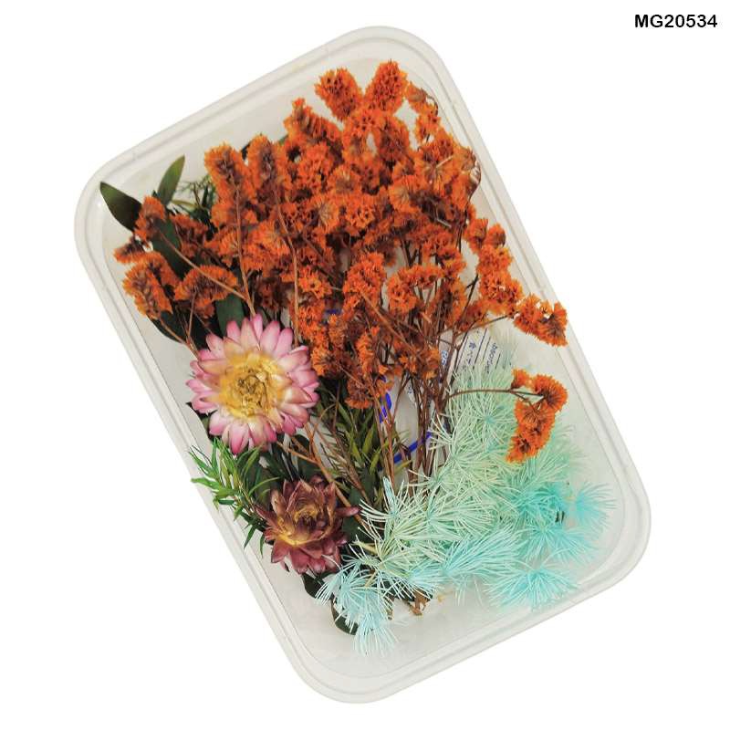 62282c5794e4b_6774_8540 Dry Flower Box- #20534 - Image 1