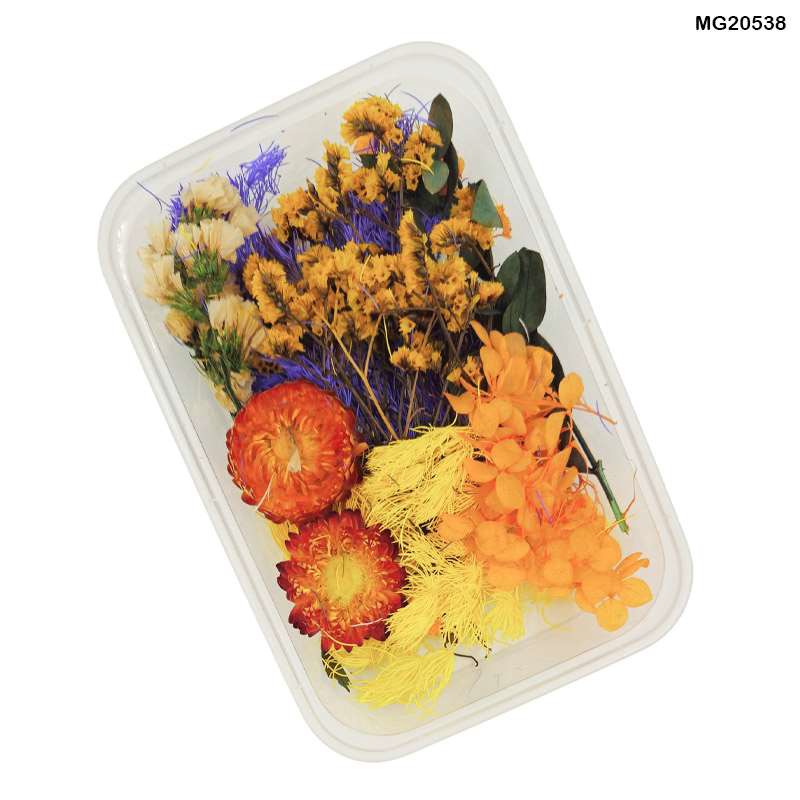 62282c5794e4b_6784_8541 Dry Flower Box #20538 - Image 1