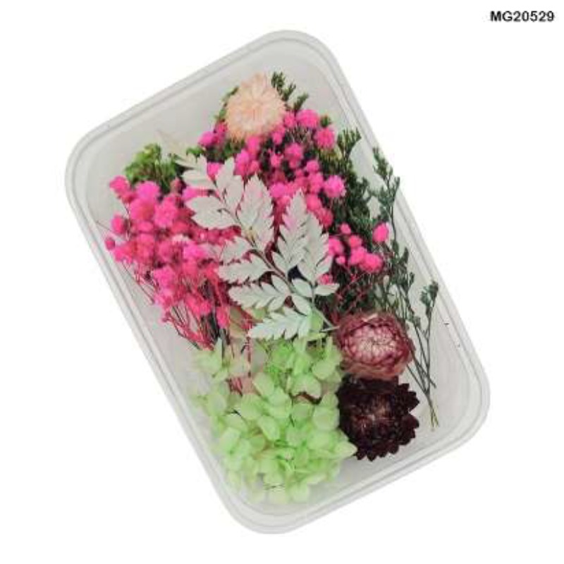 62282c5794e4b_6785_8539 Dry Flower Box #20529 - Image 1