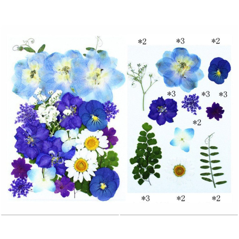 62282c5794e4b_6971_8738 25 In 1 Pressed Flowers - Image 1