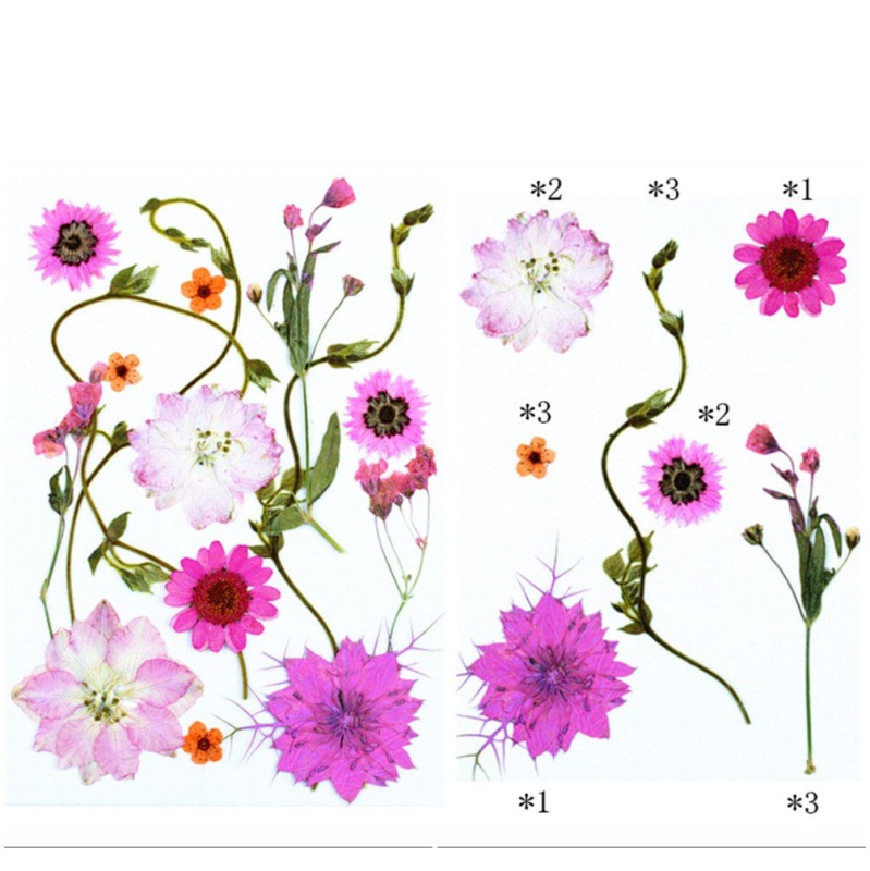 62282c5794e4b_6999_8782 Pressed Mixed Flower 62 - Image 1