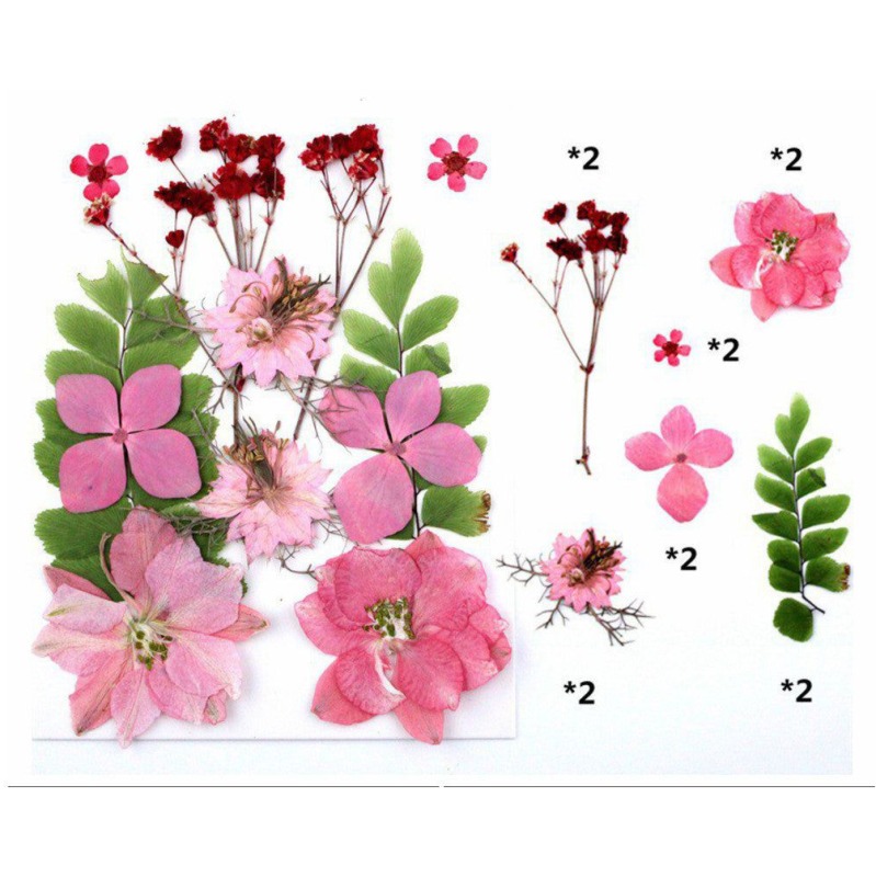 62282c5794e4b_7000_8783 Pressed Mixed Flower 63 - Image 1