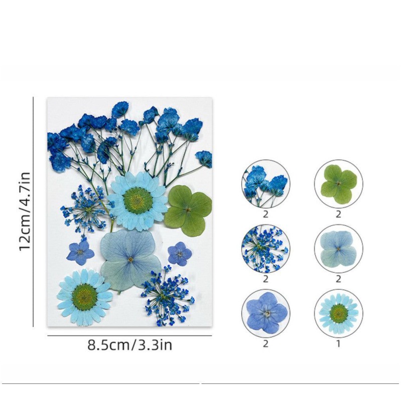 62282c5794e4b_7003_8786 Pressed Mixed Flower 66 - Image 1