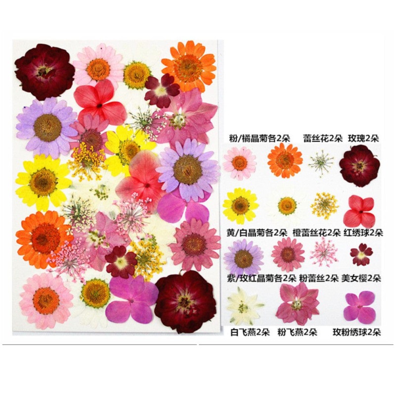 62282c5794e4b_7004_8787 Pressed Mixed Flower 67 - Image 1