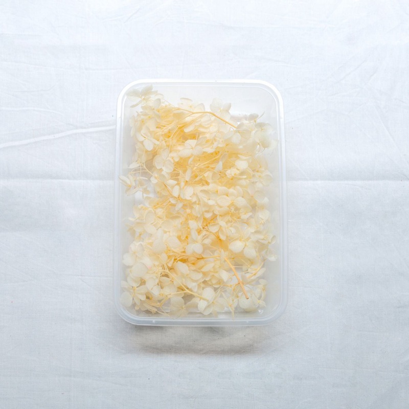 62282c5794e4b_7332_9343 Dry Flower (Hydrangea) - Off White - Image 1