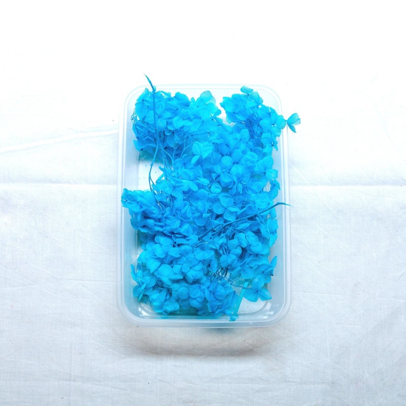 62282c5794e4b_7333_9342 Dry Flower (Hydrangea) - L.Firozi - Image 1