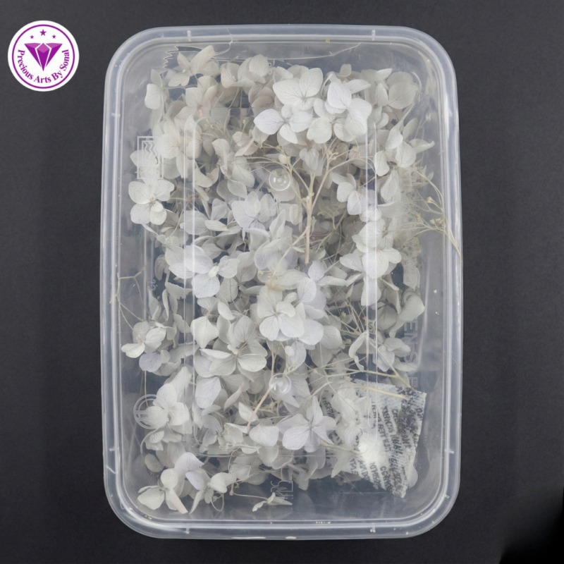 62282c5794e4b_7334_10644 Dry Flower (Hydrangea) - Image 1