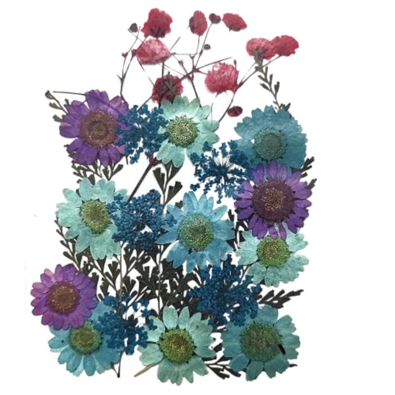 62282c5794e4b_7635_9691 Pressed Mixed Flower 70 - Image 1