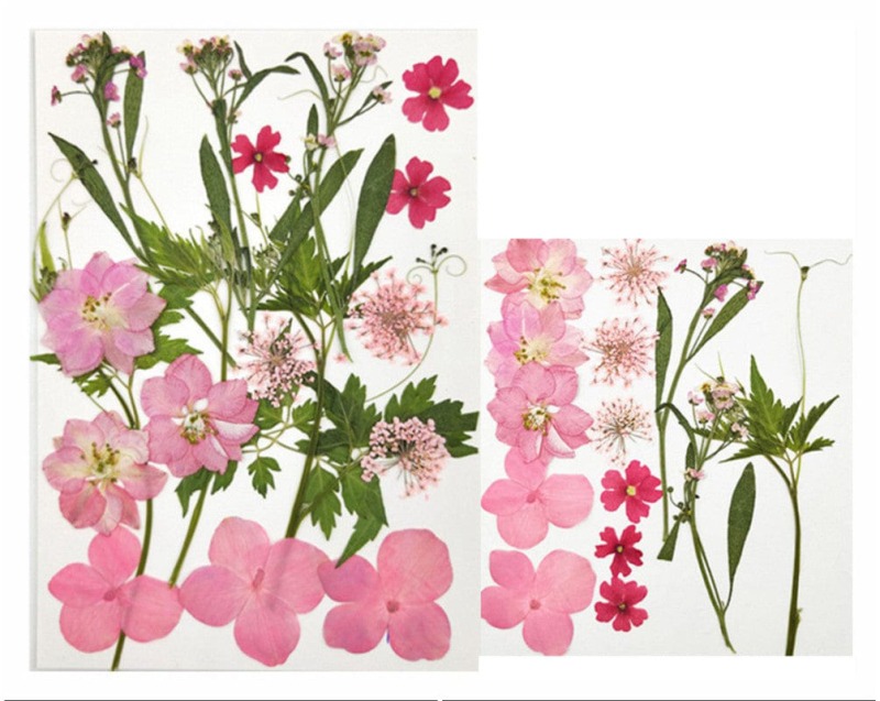 62282c5794e4b_7990_10042 Pressed Mixed Flower 76 - Image 1