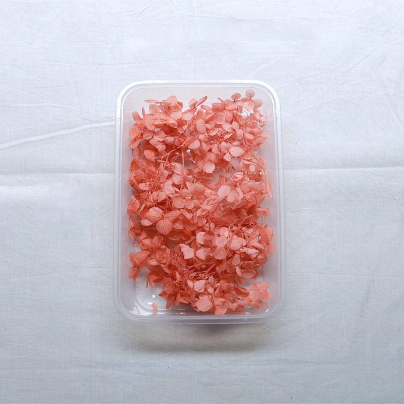 62282c5794e4b_8171_10222 Dry Flower (Hydrangea) - D. Peach - Image 1