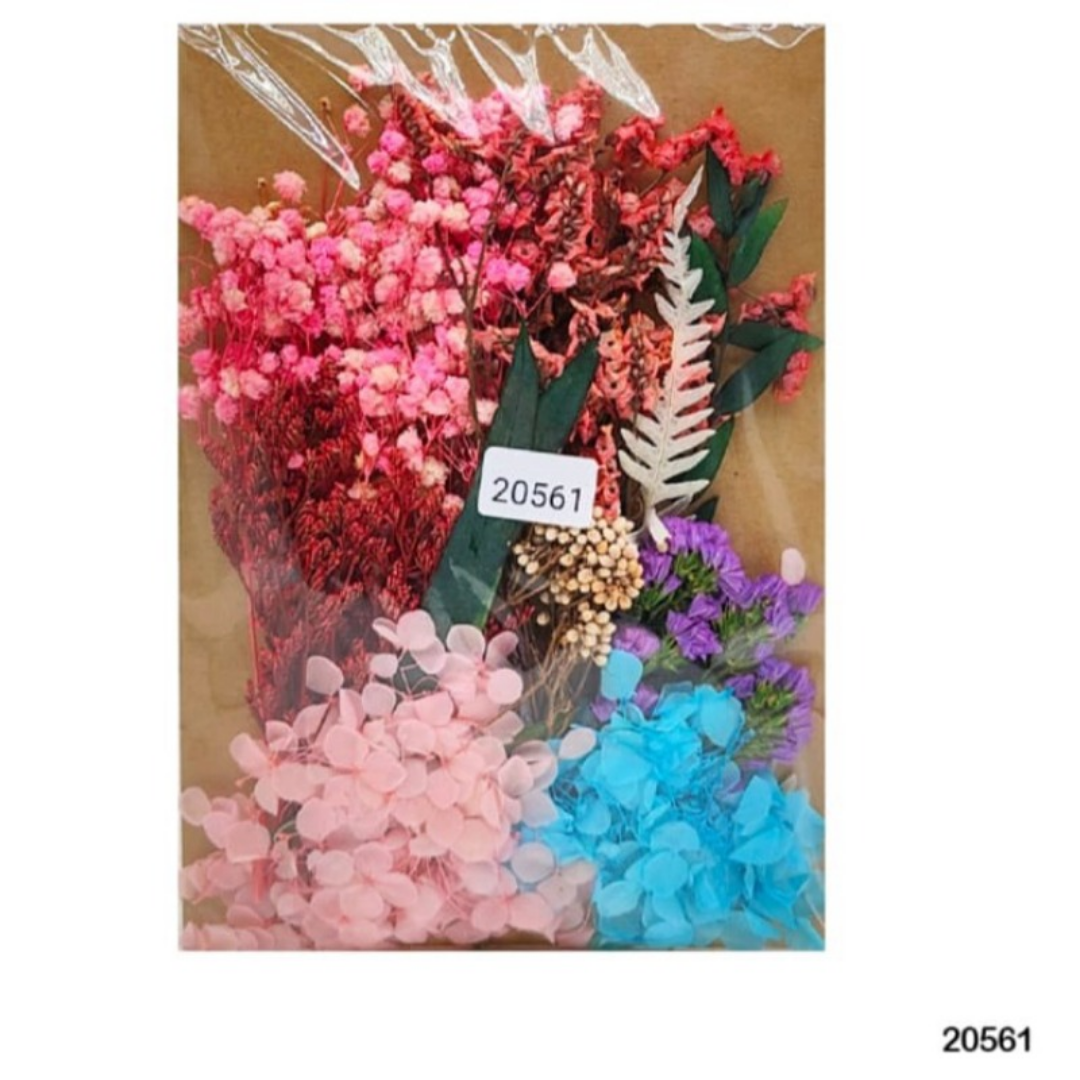 Dry Flower Big Packet - #20561 Dry Flower Big Packet - #20561 - Image 1