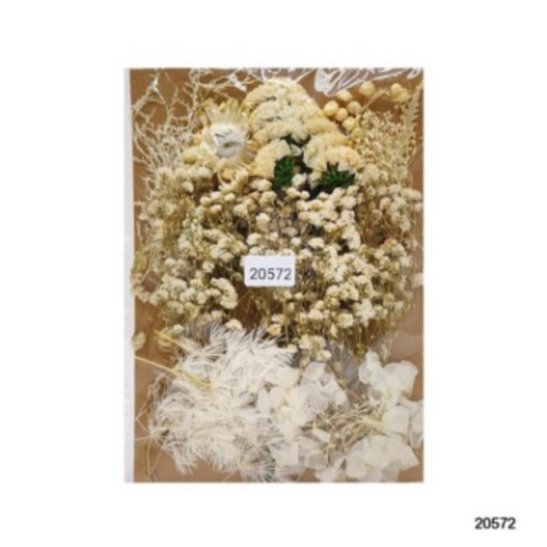 Dry Flower Big Packet - #20572 Dry Flower Big Packet - #20572 - Image 1