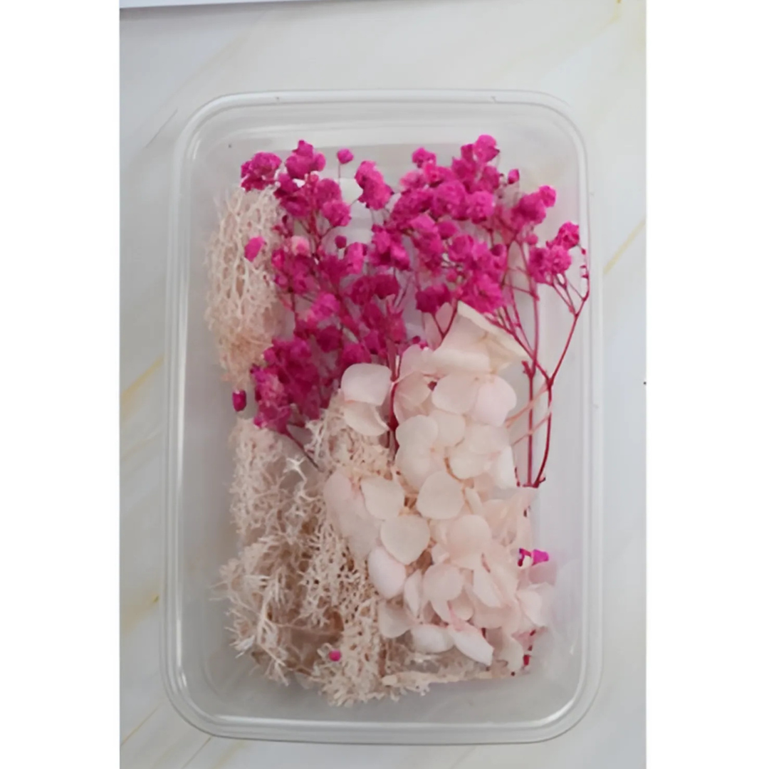 Dry Flower Box DD01 Dry Flower Box - 1 - Image 1