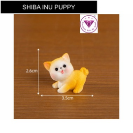 Shiba Inu Puppy Miniature