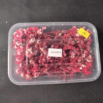 Dry Flower Box #20556