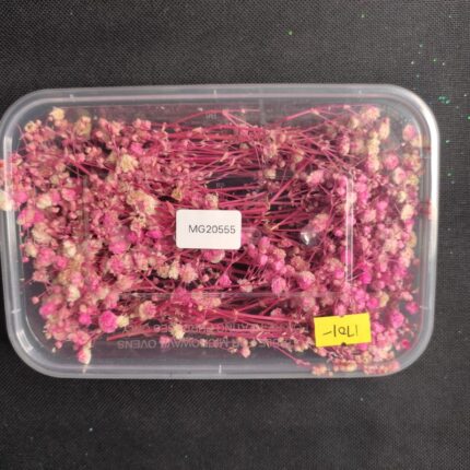 Dry Flower Box #20555