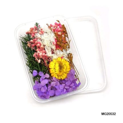 Dry Flower Box #20532