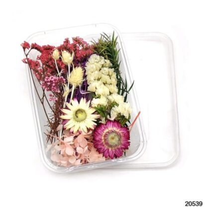 Dry Flower Box #20539