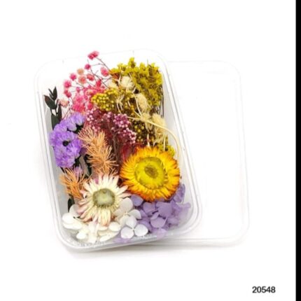 Dry Flower Box #20548