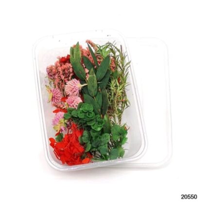 Dry Flower Box #20550