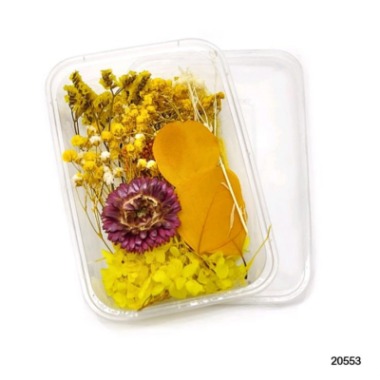 Dry Flower Box #20553