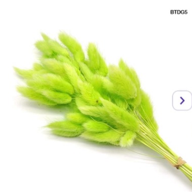 Bunny Tail - D5 - 10pcs